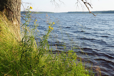 Similar image 21528122