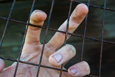 Similar image 21533830