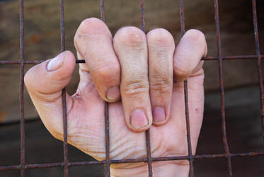 Similar image 21533831