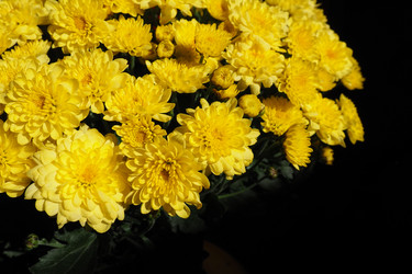 Similar image 21527765