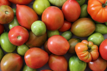 Similar image 21533557