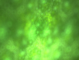 Similar image 21542502