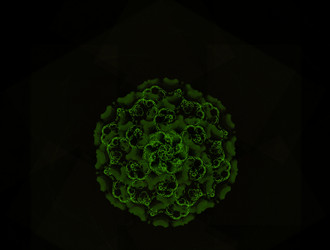 Similar image 21542879