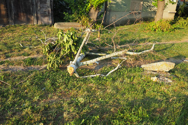 Similar image 21528127