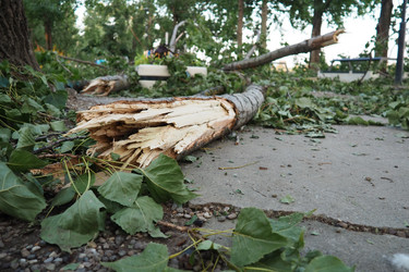 Similar image 21528141