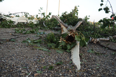 Similar image 21528143