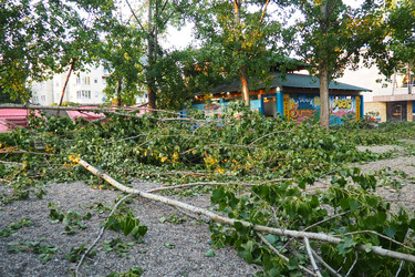 Similar image 21528145