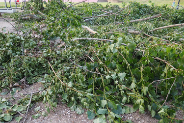 Similar image 21525302