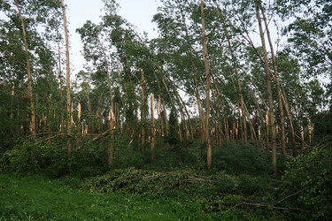 Similar image 21525456