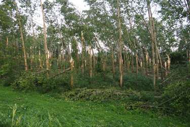 Similar image 21525457