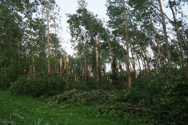 Similar image 21525458