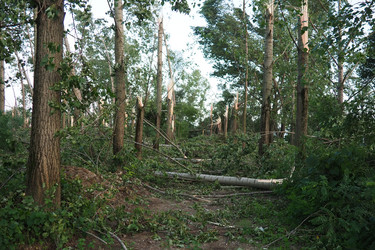 Similar image 21525459