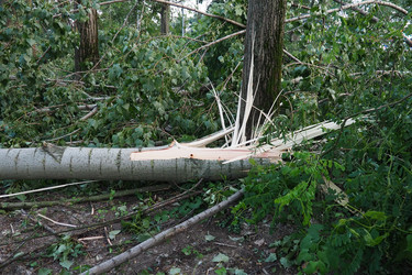 Similar image 21525462