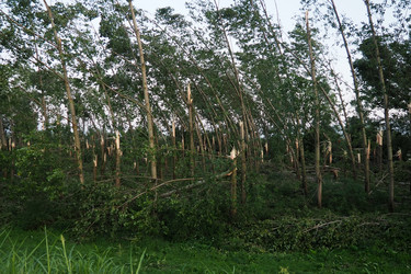 Similar image 21525464