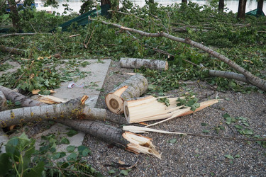 Similar image 21525473