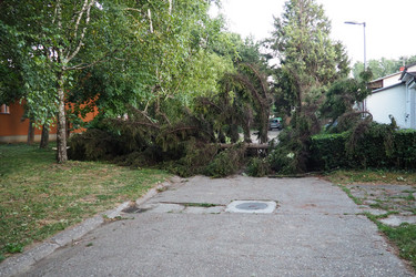 Similar image 21525475