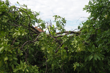 Similar image 21525479