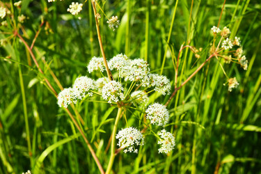 Similar image 21525312