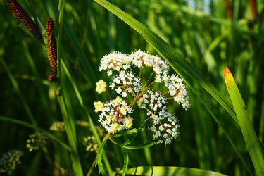 Similar image 21525313