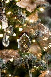 Similar image 21546745