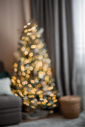 Similar image 21546749