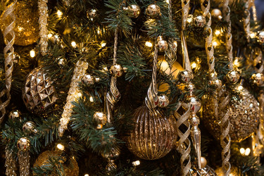 Similar image 21546763