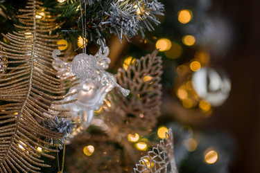 Similar image 21546767