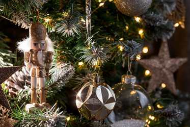 Similar image 21546769