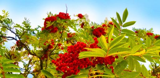 Similar image 21539270