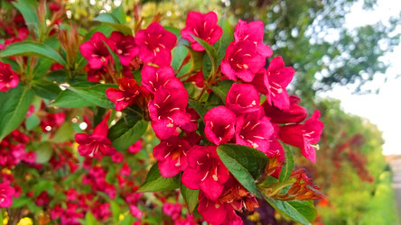 Similar image 21539275