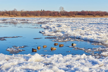 Similar image 21529319