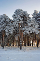 Similar image 21529324