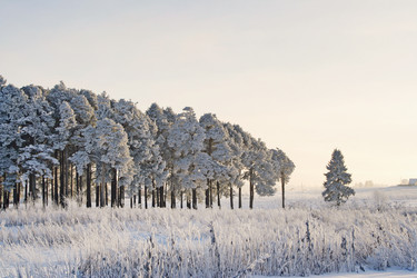 Similar image 21529327