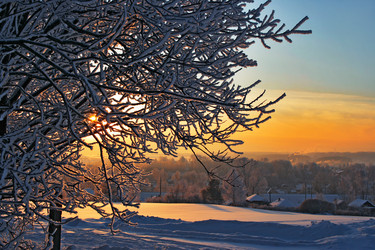 Similar image 21529335