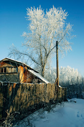 Similar image 21529338