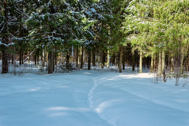 Similar image 21529340