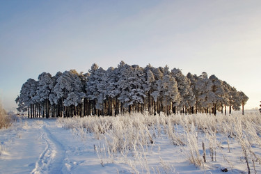 Similar image 21529342