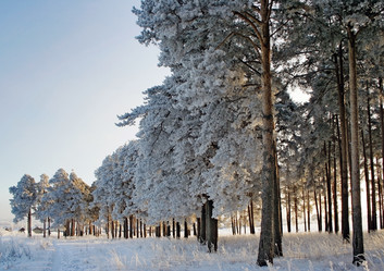 Similar image 21529343