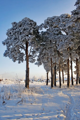 Similar image 21529350