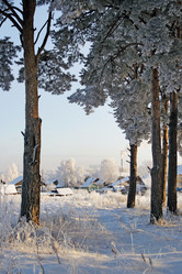 Similar image 21529351