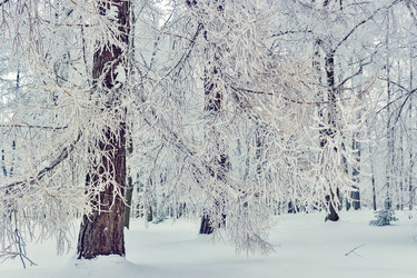 Similar image 21529354