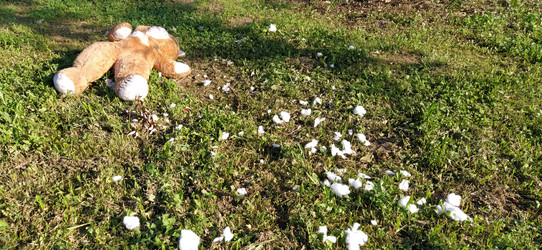 Similar image 21525323