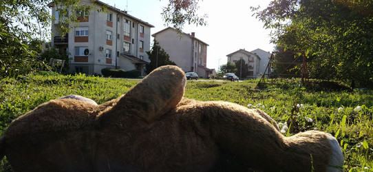 Similar image 21525324