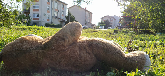 Similar image 21525325