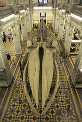 Similar image 21524087