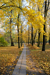 Similar image 21536417