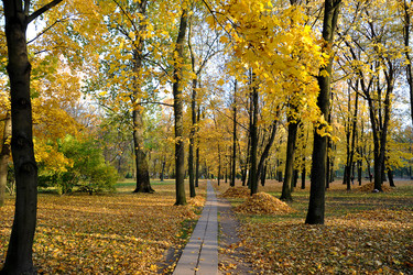 Similar image 21536606