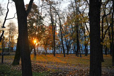 Similar image 21536607