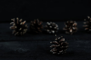 Similar image 21536639