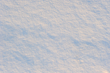 Similar image 21536658